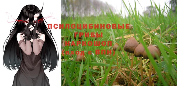 jwh Белокуриха